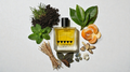 Rook Perfumes Undergrowth Eau de Parfum 50ml bottle with greenery and earthy elements in the background.